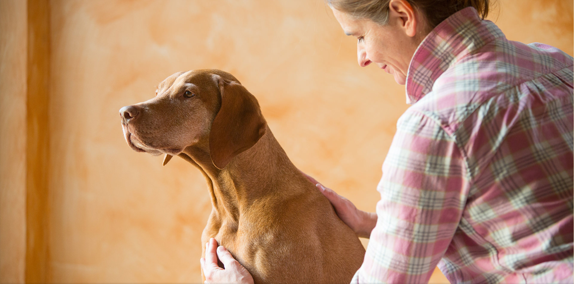 Behandlung Hunde Physiotherapie, Osteopathie, Neurodynamik Minden